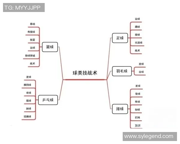 广州篮球队反击战术解析与未来发展趋势探讨