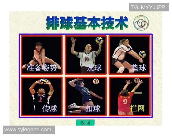 赛后分析:西安排球队与广州排球队的战术配合与表现评估